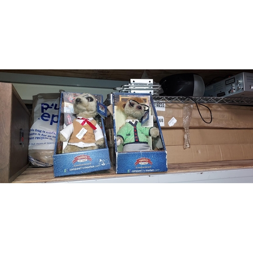 671 - 2 Meerkats In Boxes