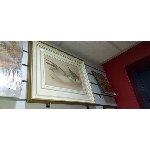 115 - Pair Of Framed Duck Prints By G J Bronowski