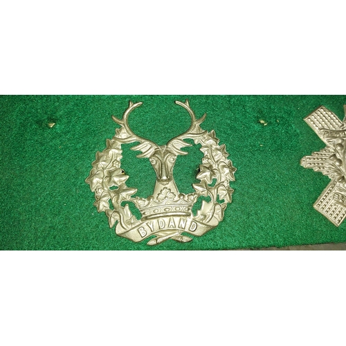 373 - Row Of Collectable Scottish Cap Badges