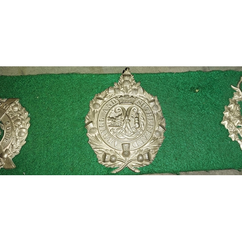 373 - Row Of Collectable Scottish Cap Badges