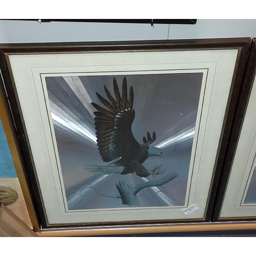 107 - Pair Of Eagle Foil Pictures In Frames