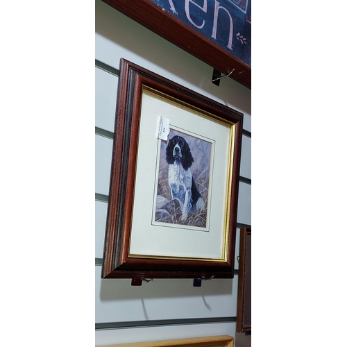 116 - Framed Chicken Advertising Picture Plus Picture Of Spaniel