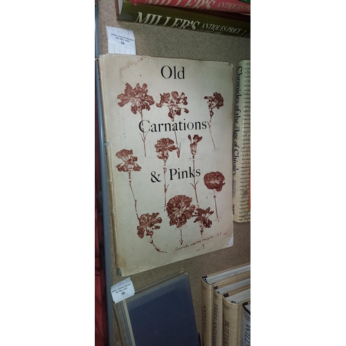 16 - Book Old Carnations & Pinks By Oscar Moreton. 8 Colour Plates By Rory Mcewen, 1955, Wear To Dj'S, Pe... 