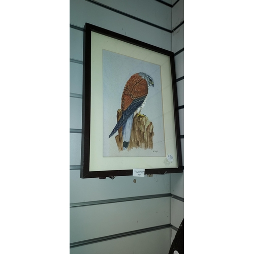 127 - Framed Watercolour Of A Bird Of Prey