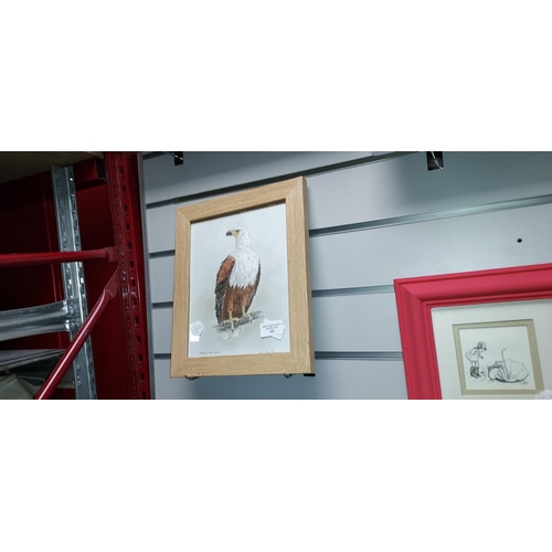 101 - Framed Watercolour Of Eagle Signed