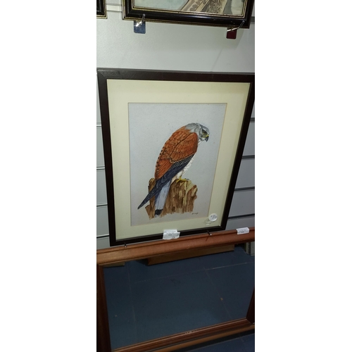 114 - Framed Watercolour Of A Bird Of Prey