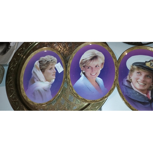 519 - Set Of Davenport Princess Diana Oval Plates