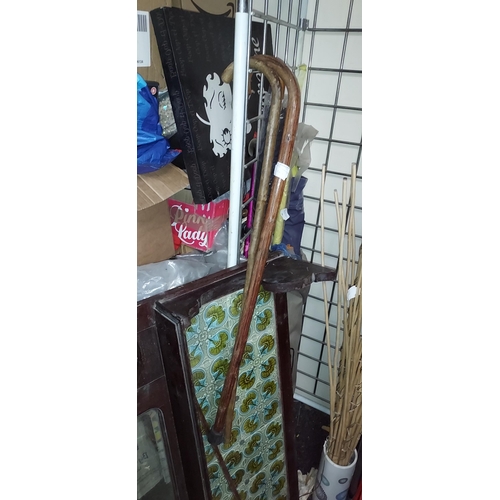 653 - 2 Walking Sticks Plus A Umbrella