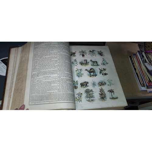 14 - Large Holy Bible With Coloured Pictures All The Way Through Front Cover Needs Reattaching