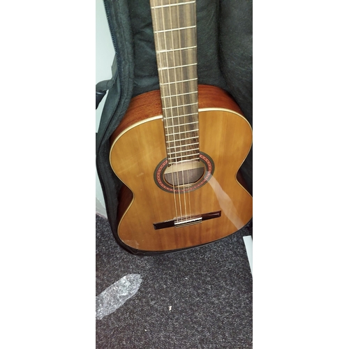 98 - Linea Nova Joan Aragon Acoustics Guitar With Case With Foot Stand