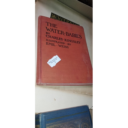 9 - The Water Babies Book By Charles Kingsley