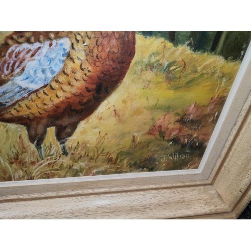 540 - Framed Oil On Board Of A Pheasant Sign J Wilson