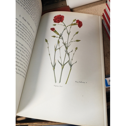 7 - Book Old Carnations & Pinks By C Oscar Moreton, 1955, 8 Colour Plates By Rory Mcewen, Suitable For F... 