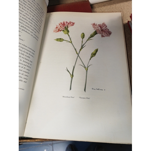 7 - Book Old Carnations & Pinks By C Oscar Moreton, 1955, 8 Colour Plates By Rory Mcewen, Suitable For F... 