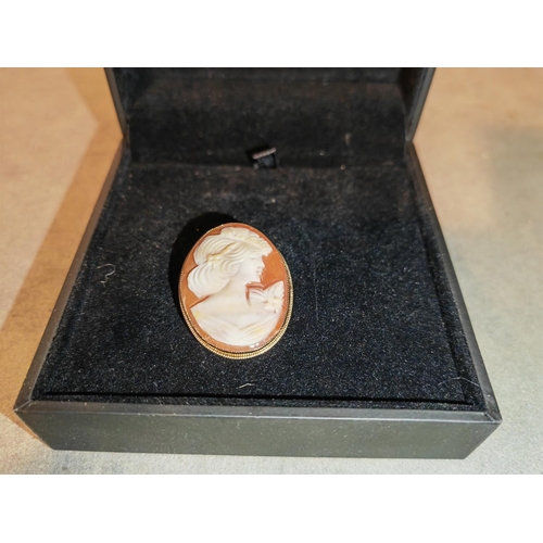 330 - 9Ct Gold Cameo Brooch/Pendant In Black Box