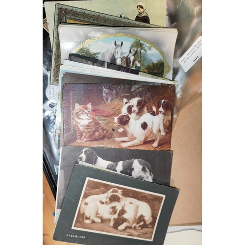 601 - Selection Of Dogs, Cats And Horses Postcards