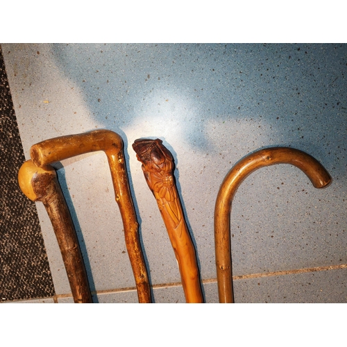 621 - 4 Walking Sticks