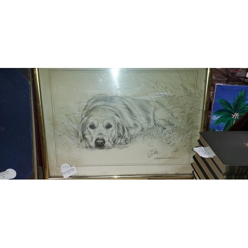 7 - Framed Print Of A St Bernard Dog