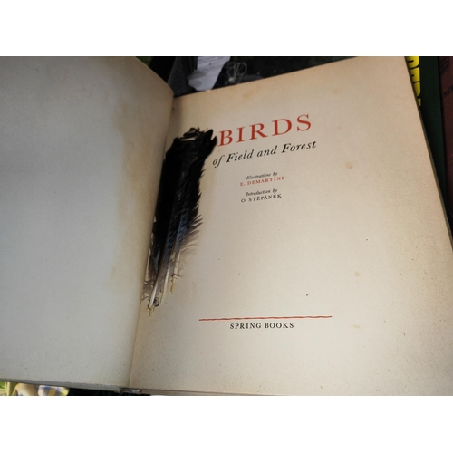 4 - Book On Birds Of Fields And Forests Illustrations By E Demartini