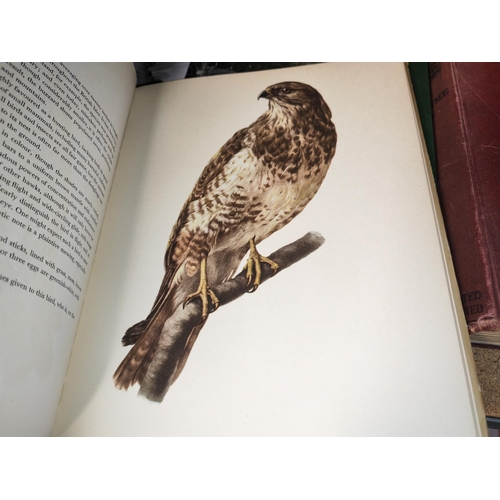 4 - Book On Birds Of Fields And Forests Illustrations By E Demartini