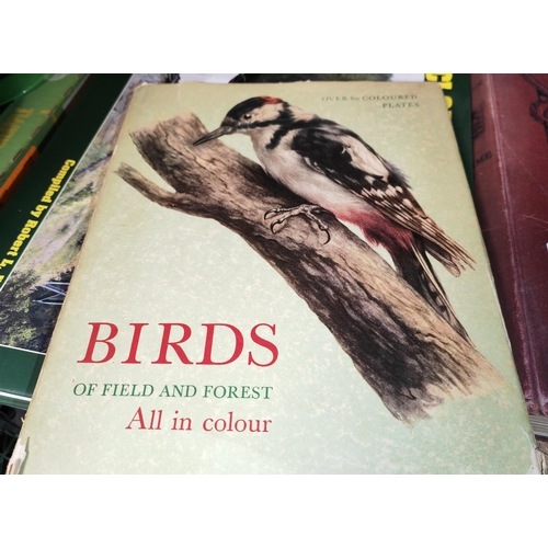 4 - Book On Birds Of Fields And Forests Illustrations By E Demartini