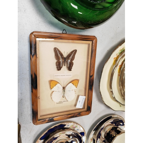 417 - Framed Butterfly Diorama