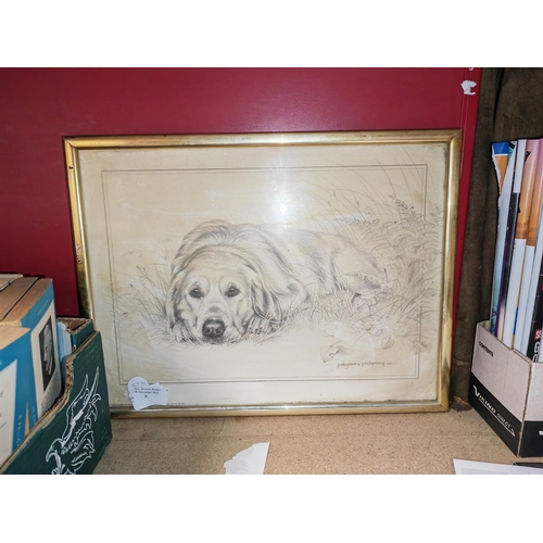 9 - Framed Print Of A St Bernard Dog
