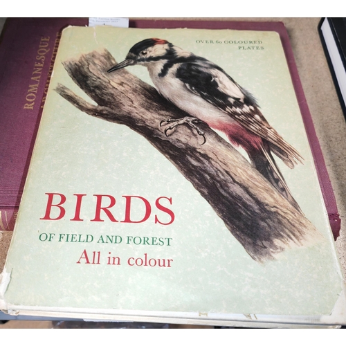 4 - Book On Birds Of Fields And Forests Illustrations By E DeMartini