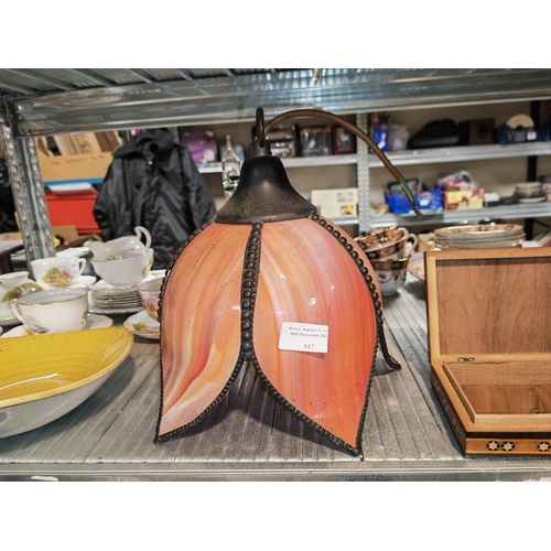Lot 517       
