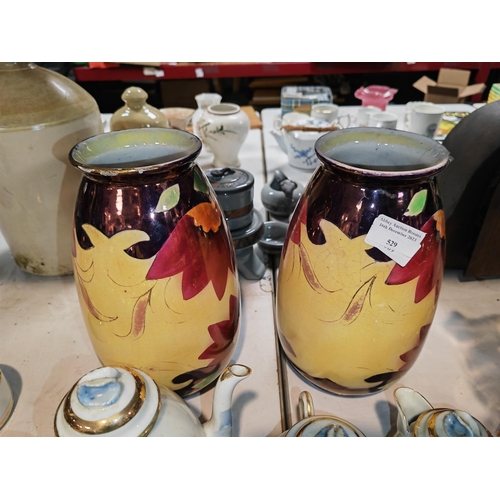 Lot 529       