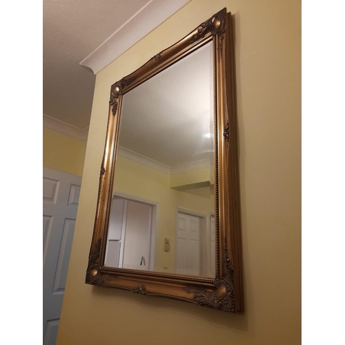 752 - Large Gilt Framed Mirror