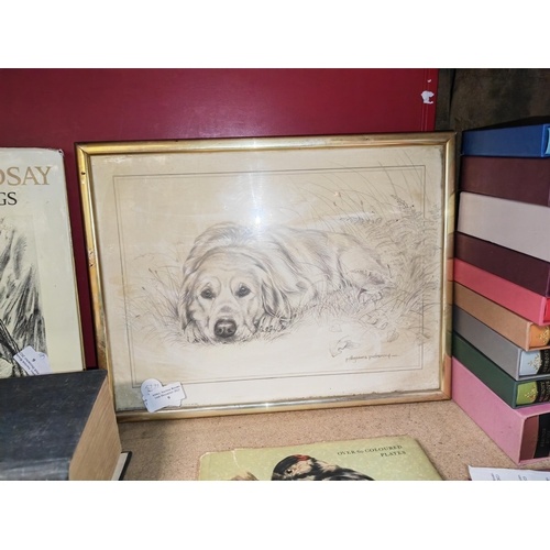 9 - Framed Print Of A St Bernard Dog Done By Pollyanna Pickering