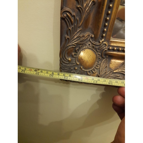 752 - Large Gilt Framed Mirror