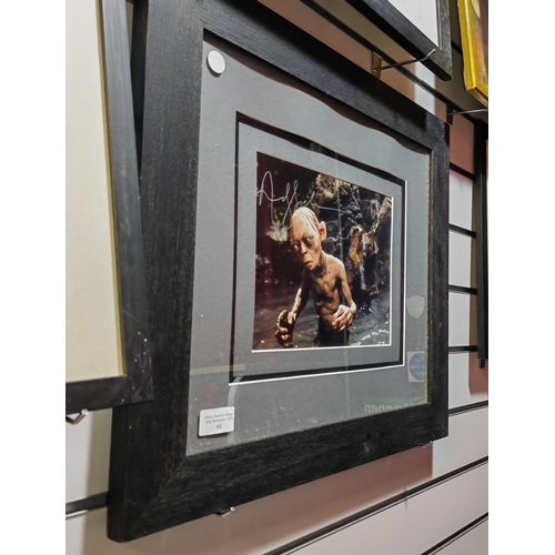 62 - Framed Photo Of Gollum From Lord Of Rings With Genuine Signature By Andy Serkis With Certificate App... 