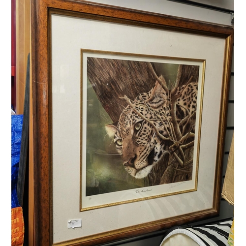 70 - Large Framed Ltd Edition Print Of A Leopard Called The Lookout Signed Frances Whitman With Certifica... 