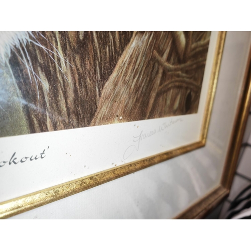 70 - Large Framed Ltd Edition Print Of A Leopard Called The Lookout Signed Frances Whitman With Certifica... 