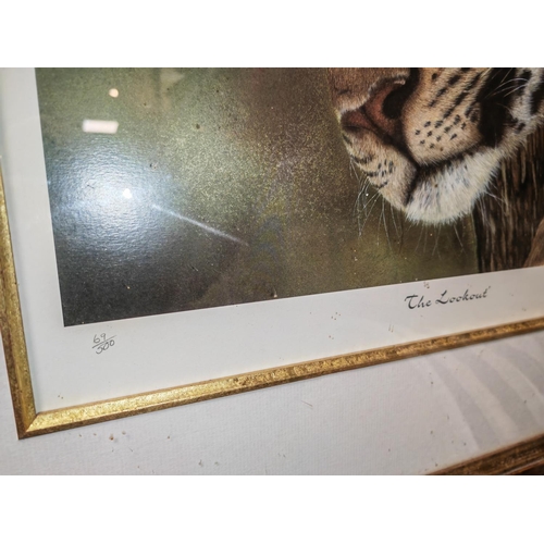 70 - Large Framed Ltd Edition Print Of A Leopard Called The Lookout Signed Frances Whitman With Certifica... 