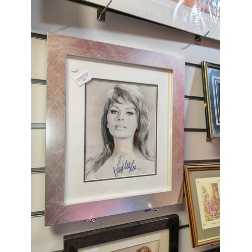 109 - Framed Photo Of Sophie Loren With Genuine Signature And Certificate