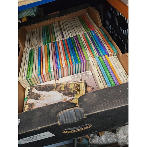 42 - Box Of Dog Books