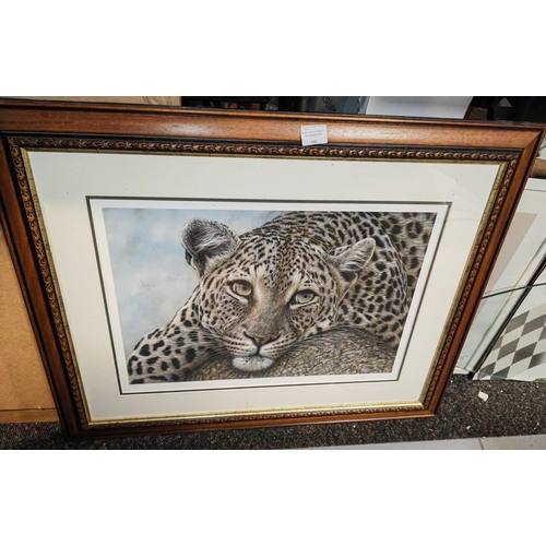 540 - Framed Ltd Edition Print Of A Leopard Cub Signed