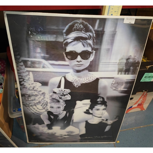 236 - Large 3D Audrey Hepburn Picture