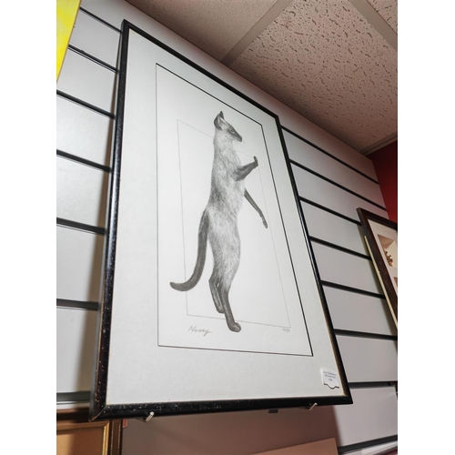 119 - Large Framed Print Of A Nosey Cat Signed