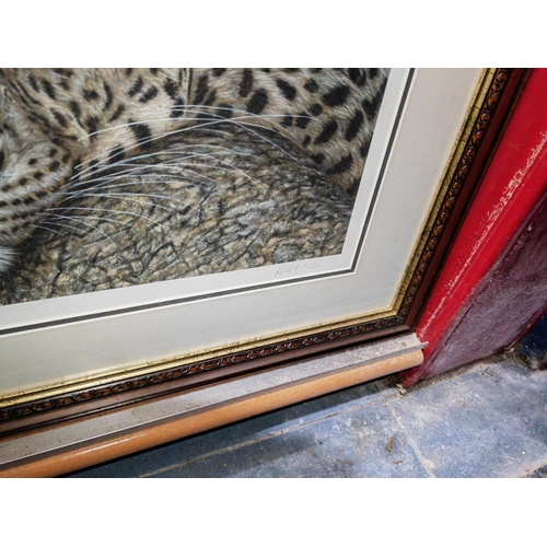 122 - Framed Ltd Edition Print Of A Leopard Cub Signed