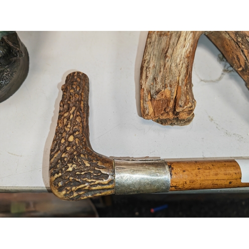 469 - Horn Handle Silver Ferrelled Walk Stick