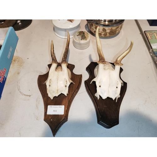 511 - 2 Animal Skulls On Plinths