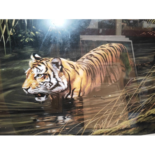 551 - Large Framed Frances Whitman Ltd Edition Print Of A Tiger Walking Through A Forest