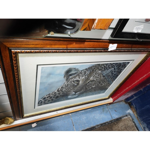 123 - Framed Ltd Edition Print Of A Leopard Cub Signed