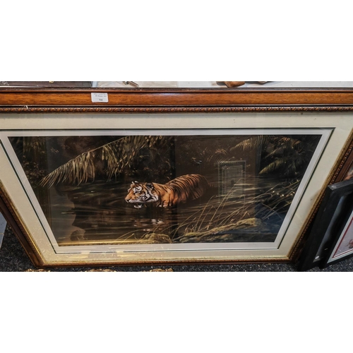 541 - Large Framed Frances Whitman Ltd Edition Print Of A Tiger Walking Through A Forest