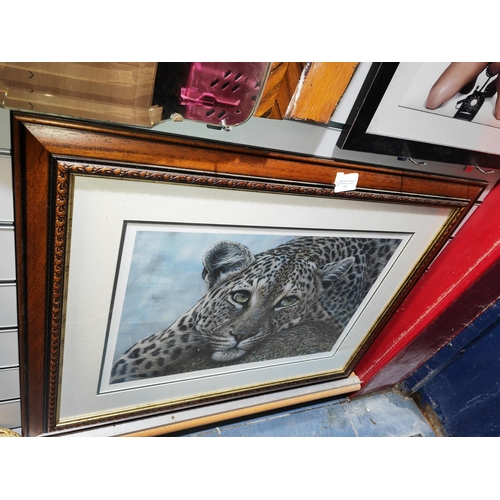 116 - Framed Ltd Edition Print Of A Leopard Cub Signed