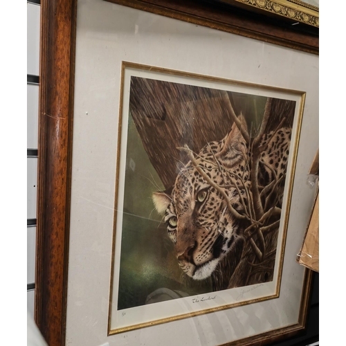 118 - Large Framed Ltd Edition Print Of A Leopard Called The Lookout Signed Frances Whitman With Certifica... 